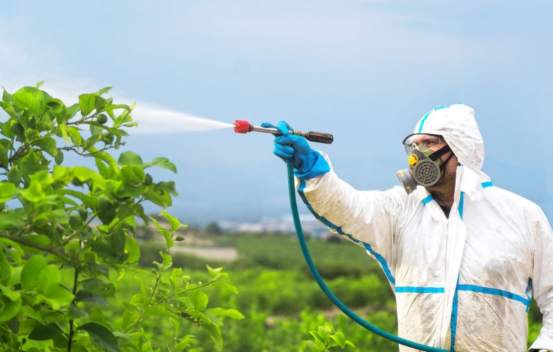 Fumigation Service in Fort Myers, FL