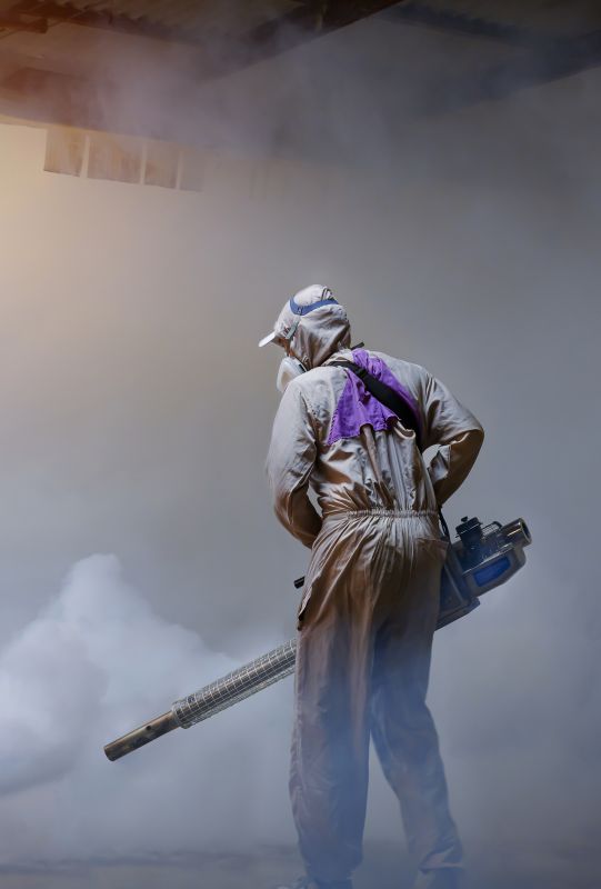 Spider Fumigation Service in Long Island, NY