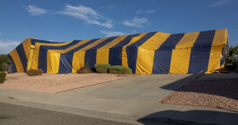 Termite Tenting in Woodbridge, VA